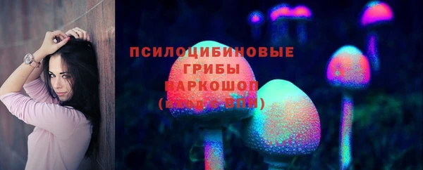 гашик Армянск