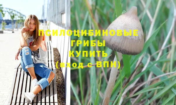 соль курить ск Аркадак