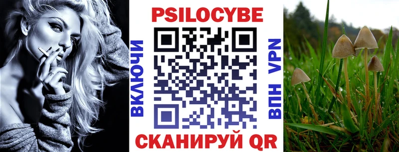 Псилоцибиновые грибы мицелий  купить наркоту  Заозёрный 